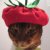 Cat wearing strawberry beret icon