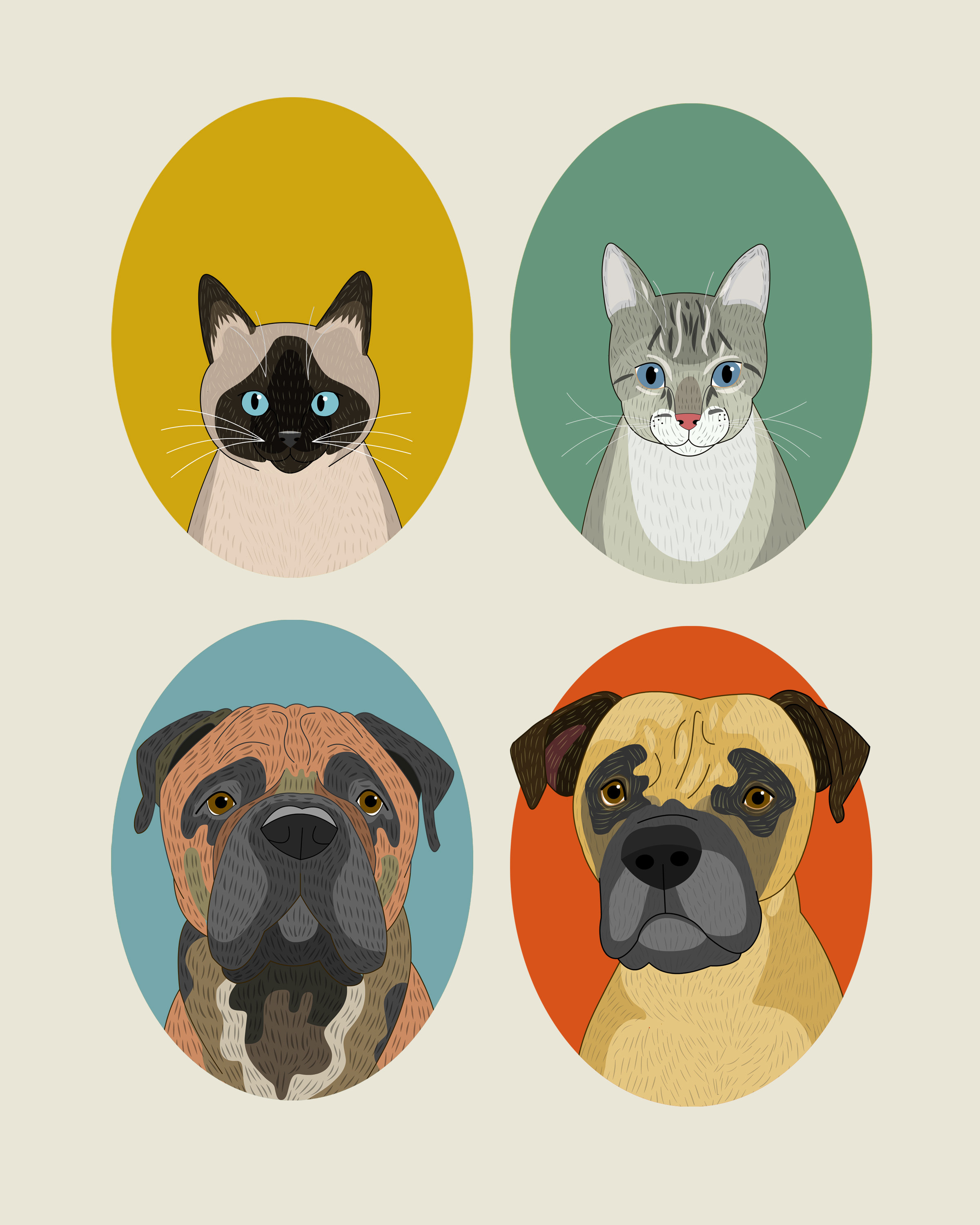 Catsanddogsportrait